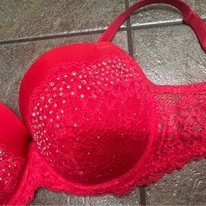Elegant Red Lace Embellished Bra